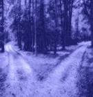 Picture for song 'Out of Love' by artist 'Speak Words Speak'