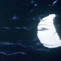 Picture for song 'Nights ...' by artist 'stefanos grigoriadis'