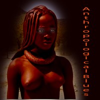 Picture for song 'Anthropological Blues' by artist 'Stereo2tape'