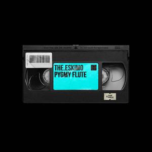 Picture for song 'Pygmy Flute' by artist 'The.Eskimo'