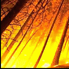 Picture for song '*CRAZY*Ready For Whatever' by artist 'THE L3GION OF DOOM'