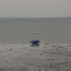 Picture for song 'Crows and Seagulls' by artist 'Thomas Becket'