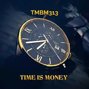 Picture for song 'Time Is Money' by artist 'TMBM313'