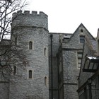 Picture for song 'Winifred's Castle.mp3' by artist 'Tommy Williams'