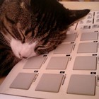 Picture for song 'yeah it`s easy' by artist 'UBproduction'