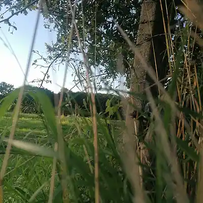 Picture for song '20240812_172601_backToTheRoot_FS_1' by artist '786 scheint-Al'lahs Bande'