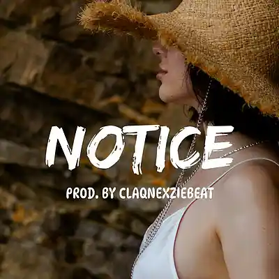 Picture for song 'Notice - Asake x Burna boy Amapiano typebeat' by artist 'ClaqnexzieBeat'