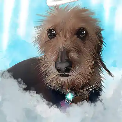 Picture for song 'Cloud (9)' by artist 'DJ House Of One'