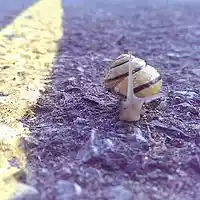 Picture for song 'who we are' by artist 'IAMLBM'