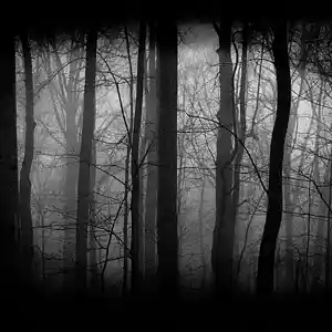 Picture for song 'SCARLXRD X DESTROY LONELY TYPE BEAT(WILD)' by artist 'Kenny8eats'