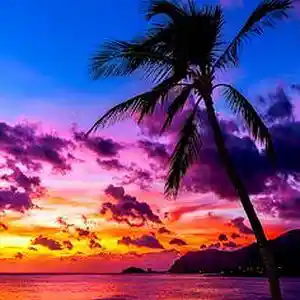 Picture for song 'Trap in the D.R' by artist 'Marvins 2X'