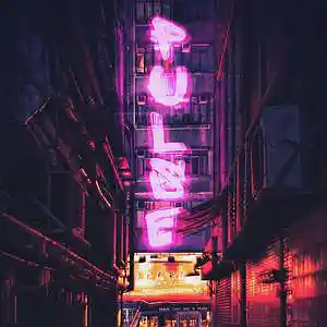 Picture for song 'Pulse' by artist 'meanin9'