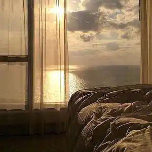 Picture for song 'Bones' by artist 'Mirrorfamily'