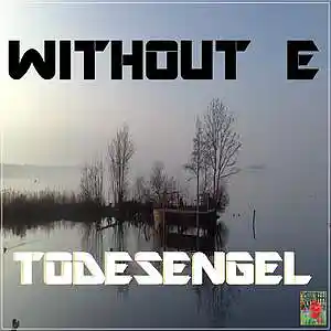 Picture for song 'T O D E S E N G E L' by artist 'WITHOUT E'