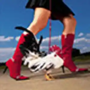 Picture for song 'Arisha' by artist 'you-anin'