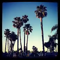 Picture for song '(Kid Ink Type) - Desire' by artist 'Chelladurai Beats'