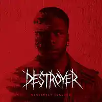 Picture for song 'Destroyer' by artist 'Wave Catcher'