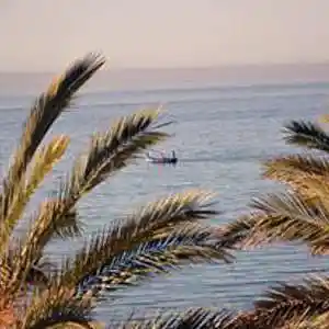 Picture for song 'COOL TROPICAL RHYTHMS: JAZZY REGGAE MAMBO CALYPSO' by artist 'Dr. Bob's Jazz - Benefit Boppin' Quartet - JBBQ'