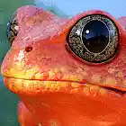 Picture for song 'Galactic' by artist 'Not For Your Average Rapper'