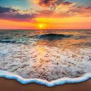 Picture for song 'Ocean' by artist 'Pete Moss and the Weed Wackers'