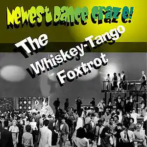 Picture for song 'The Whiskey-Tango Foxtrot' by artist 'songfire'