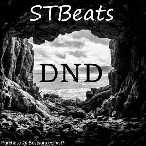 Picture for song 'DND -133Bpm' by artist 'STB3ats'
