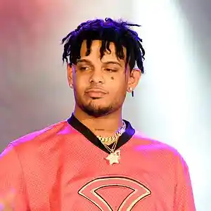Picture for song 'Smokepurpp Type Beat - Whole Lotta' by artist 'TheRealRomanBeatz'