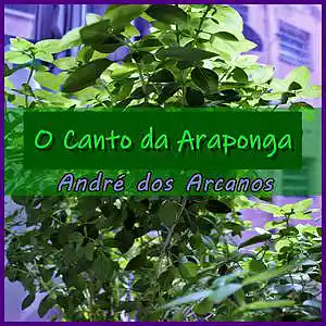 Picture for song 'O Canto da Araponga' by artist 'Andre dos Arcanos'