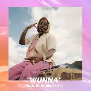 Picture for song 'Wunna' by artist 'Babik Beats'