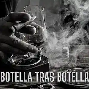 Picture for song 'Botella Tras Botella - Cristian Nodal, Bigaeldela1' by artist 'Bigaeldela15'