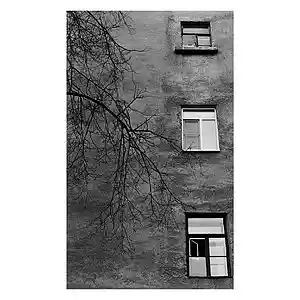 Picture for song 'Lovushka' by artist 'Chillinintheeven'