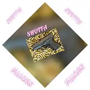 Picture for song 'Shotta' by artist 'Instrumbeats'