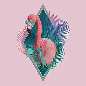 Picture for song 'Flamingo' by artist 'JuSaMeLoDy'
