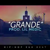 Picture for song ''Grande' - Ty Dolla Sign x Chris Brown Type' by artist 'LiL Medic Beats'