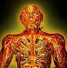 Picture for song 'Soul Kik' by artist 'Lotus Ascension'