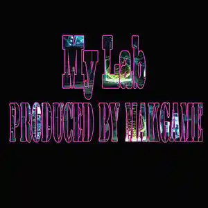 Picture for song 'My Lab (Makgame Original Mix)' by artist 'Makgame'