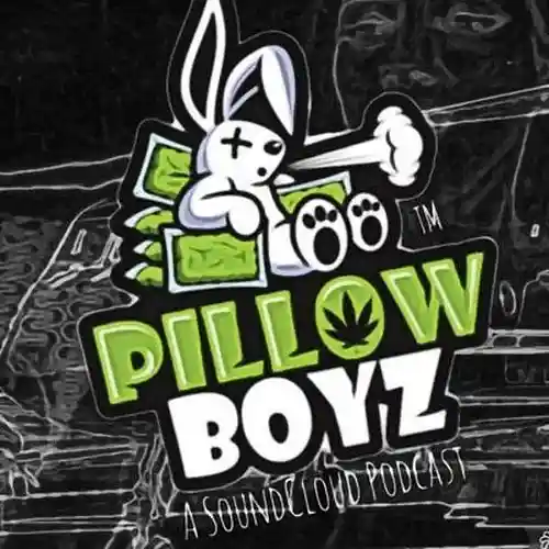 Picture for song 'Pillow Boyz Prod. 620' by artist 'Pillow Boyz Prod.'