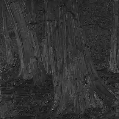 Picture for song 'How Dark Is Night' by artist 'Pete Moss and the Weed Wackers'