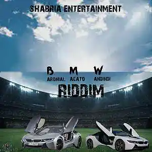 Picture for song 'bmw riddim (1)' by artist 'Shabria entertainment record label'