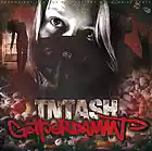 Picture for song 'TNTASH ft. DaCaro - Lass mich fliegen' by artist 'TNTASH'