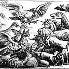 Picture for song 'the birds and the beasts' by artist 'gary reynolds (VA)'