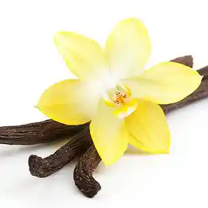 Picture for song 'academic music sucks' by artist 'JimRoss'