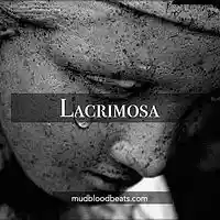 Picture for song 'Lacrimosa ' by artist 'Mudblood'