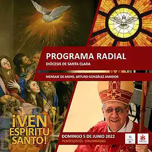 Picture for song 'Domingo de Pentecostés -5 de junio' by artist 'Producciones Vandor'