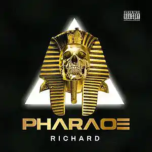 Picture for song 'ELECT' by artist 'Richard dwayne Brown'