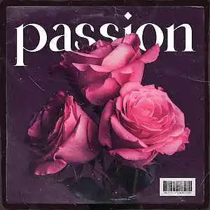 Picture for song 'PASSION (Drake Type Beat R&B Trap Instrumental)' by artist 'trabbey'
