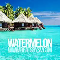 Picture for song 'Watermelon (SOLD)' by artist 'BeatsbySV'