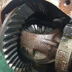 Picture for song 'Overload_Clint Lavens' by artist 'Clint Lavens'