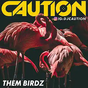 Song picture