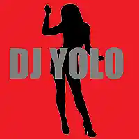 Picture for song 'The Switch' by artist 'DJ Yolo Beats'